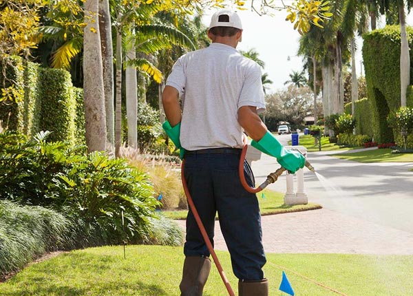 About Artemus KY Pest Control